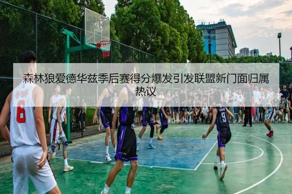 森林狼爱德华兹季后赛得分爆发引发联盟新门面归属热议