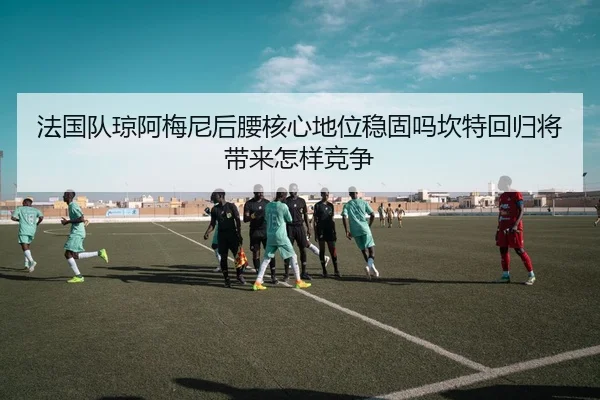法国队琼阿梅尼后腰核心地位稳固吗坎特回归将带来怎样竞争