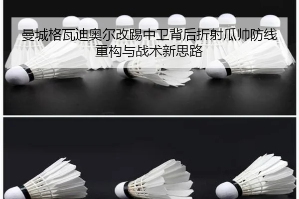 man-cheng-ge-wa-di-ao-er-gai-ti-zhong-wei-bei-hou-zhe-she-gua-shuai-fang-xian-zhong-gou-yu-zhan-shu-xin-si-lu-2-835.jpg