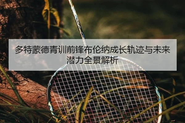 多特蒙德青训前锋布伦纳成长轨迹与未来潜力全景解析