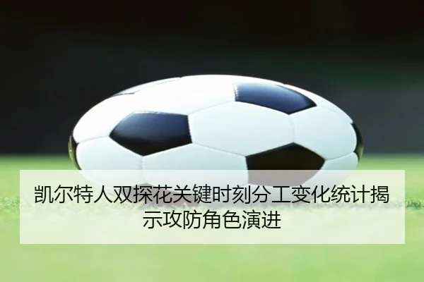 凯尔特人双探花关键时刻分工变化统计揭示攻防角色演进
