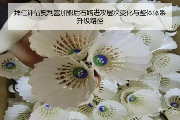 拜仁评估奥利塞加盟后右路进攻层次变化与整体体系升级路径
